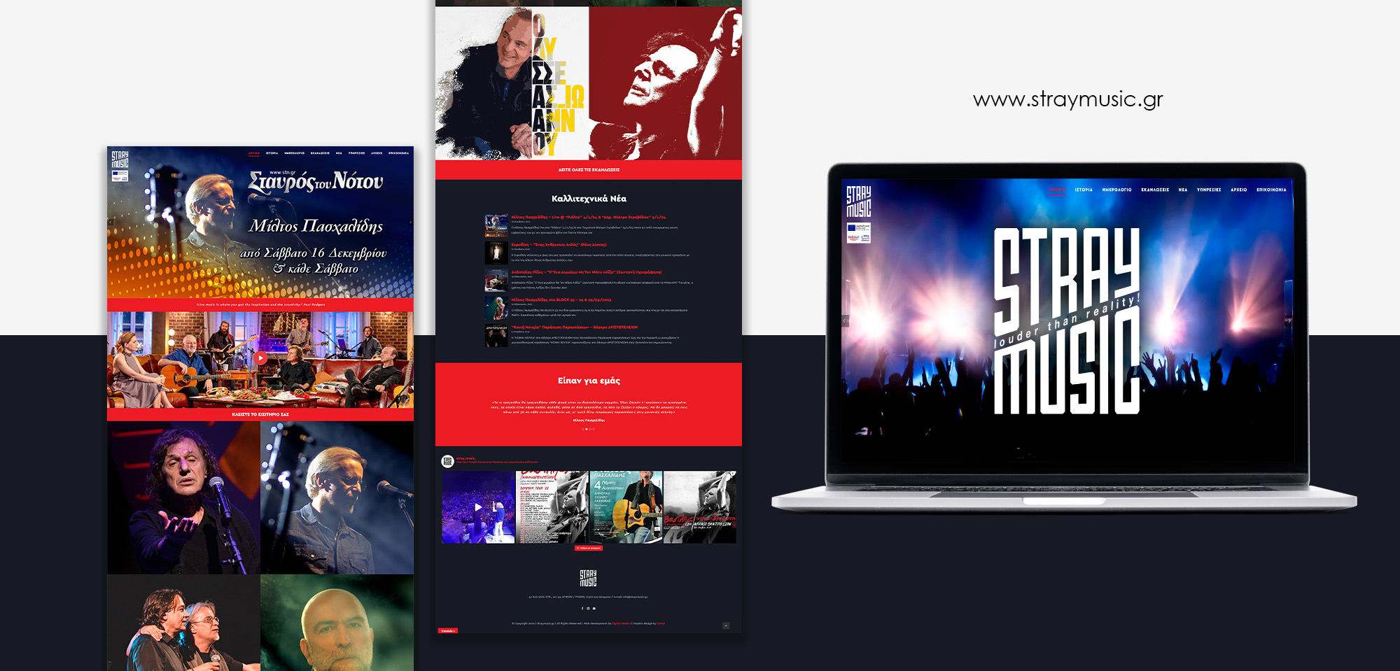 stray music_web-page